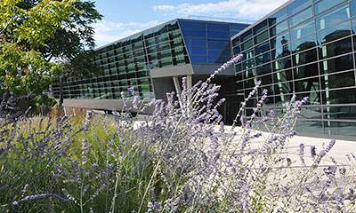 Blick von den Blumenrabatten der Erich-Ollenauer-Promenade Höhe seitlicher Eingang auf das darmstadtium.